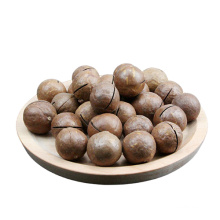 Nueces de macadamia asadas de gran tamaño en cáscara
